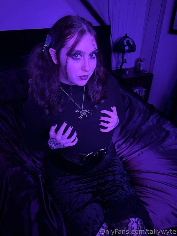 tallywyte image #7