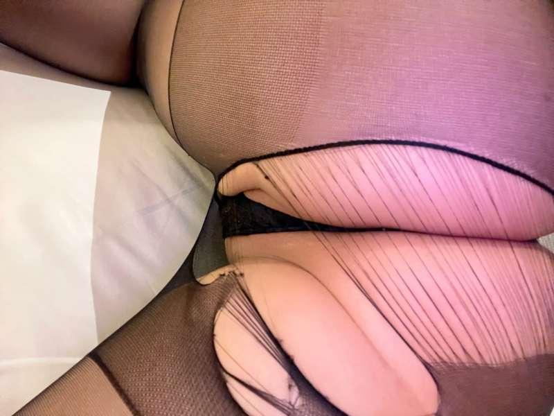 獻給我最愛的小豬們🐷💕