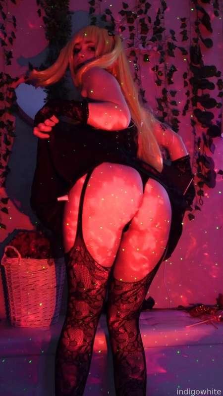 indigowhite image #245