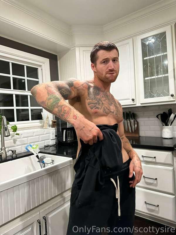 scottysire image #12