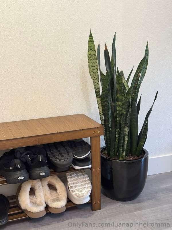 luanapinheiromma image #3