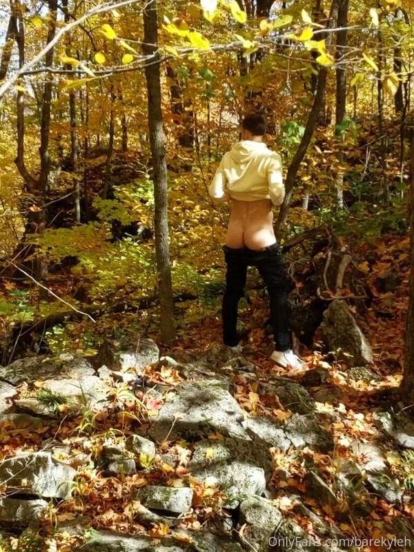 We went for a nice fall walk today hehe 🥰