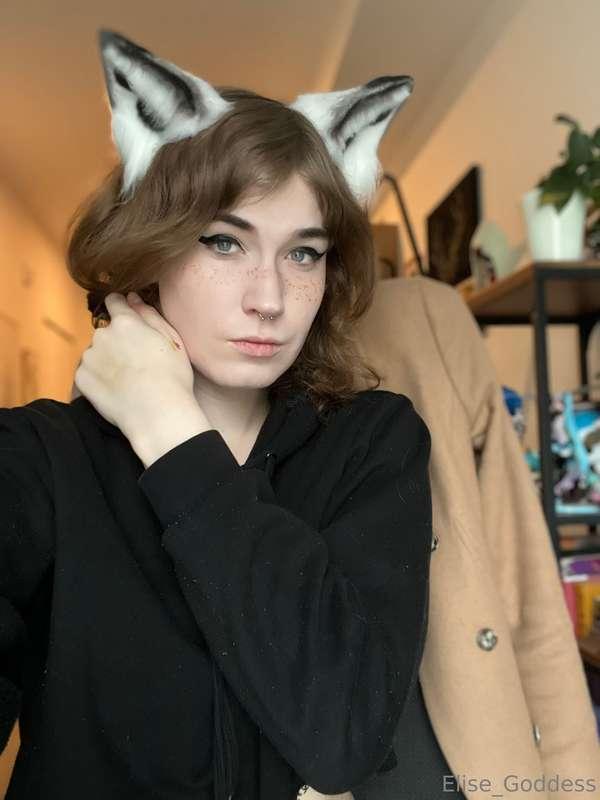 Would you all like it if I was more of a puppy girl?