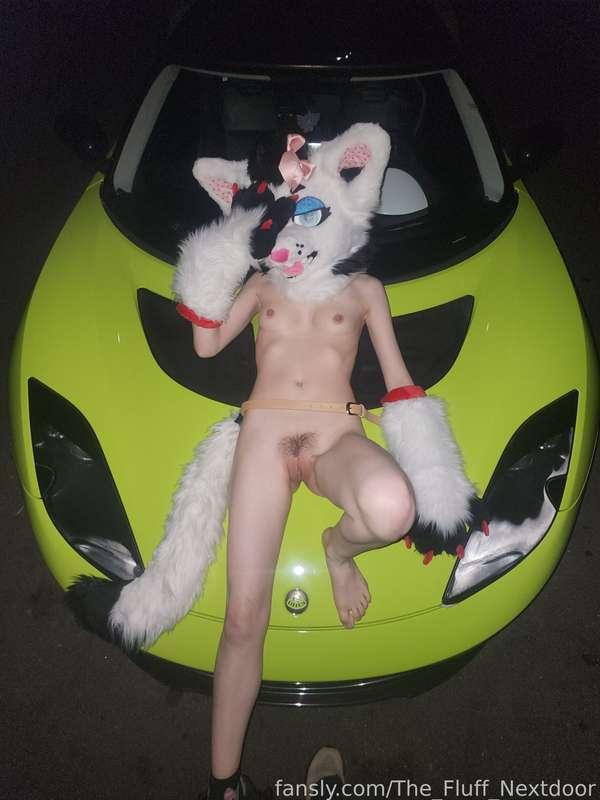the_fluff_nextdoor image #13