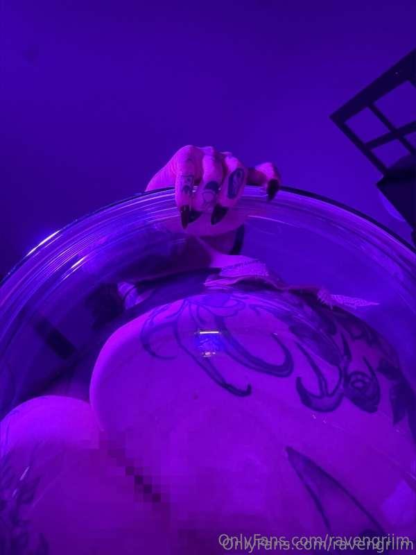 Looking for a new seat, is your face available??😈clear chair..