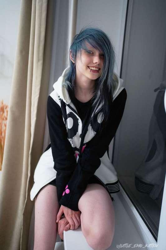 little_emo_kitten image #12