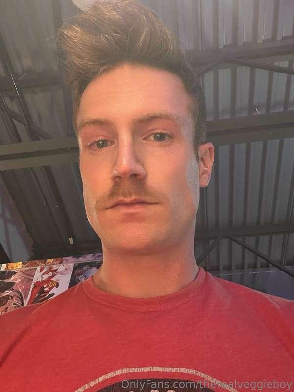 Is the moustache hot or not? Asking for a friend