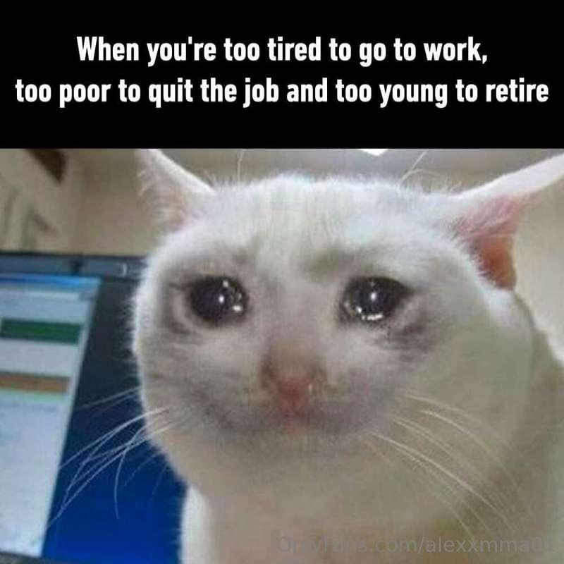 🤦😂