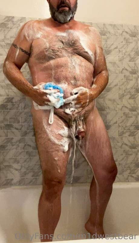 m1dwestbear image #3