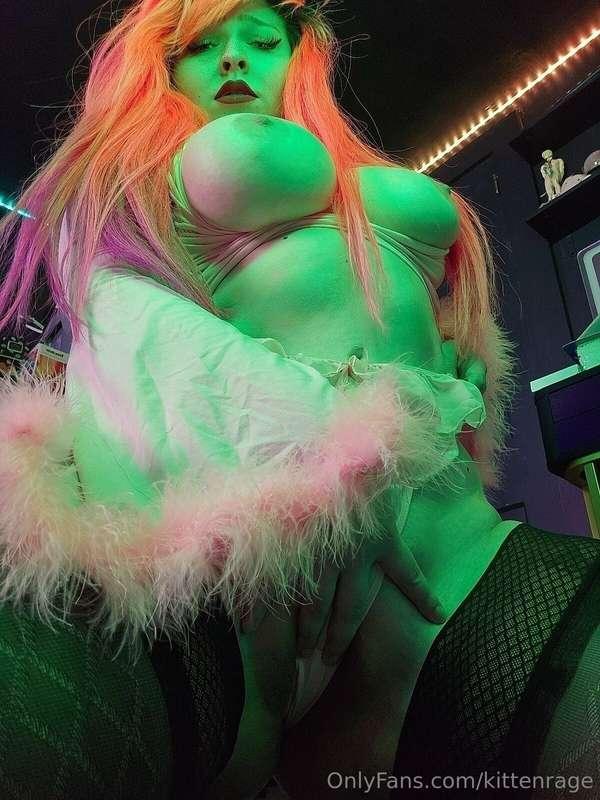 kittenrage image #2
