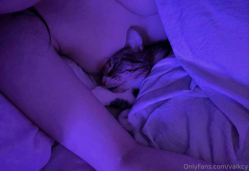 kitty cuddles <3