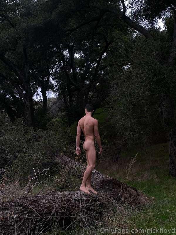 nickfloyd image #5