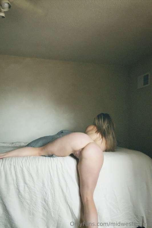 midwestemma image #1