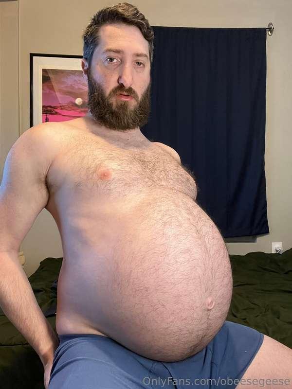 obeesegeese image #1