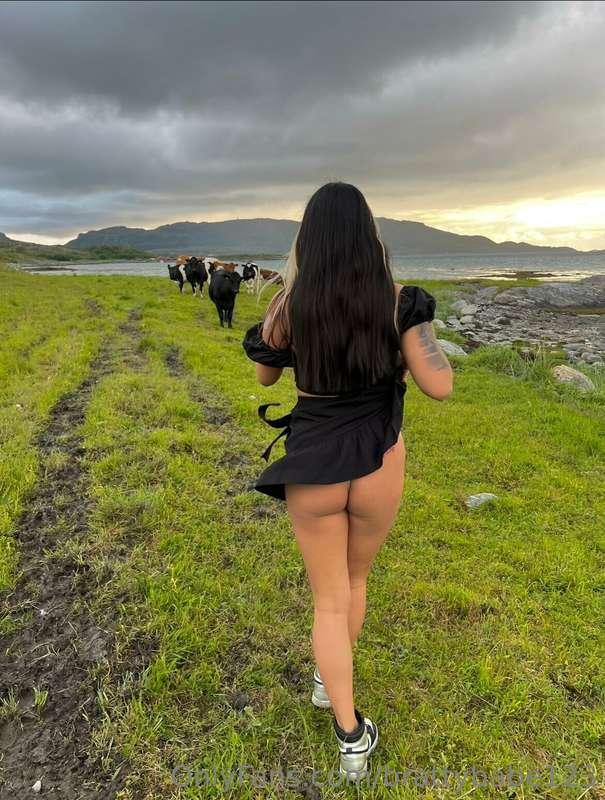 Norwegian summer😍🐮