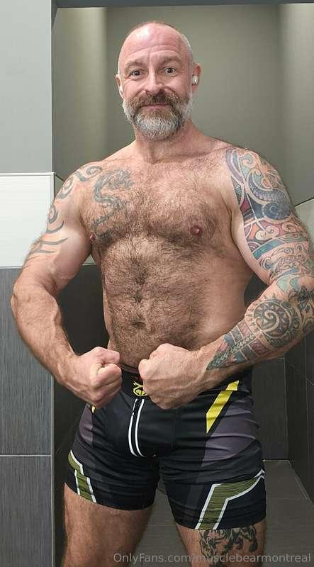 musclebearmontreal image #0