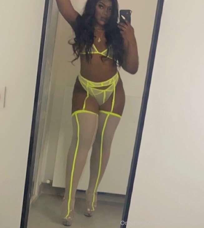 STALLION 🐎🐎🐎🐎