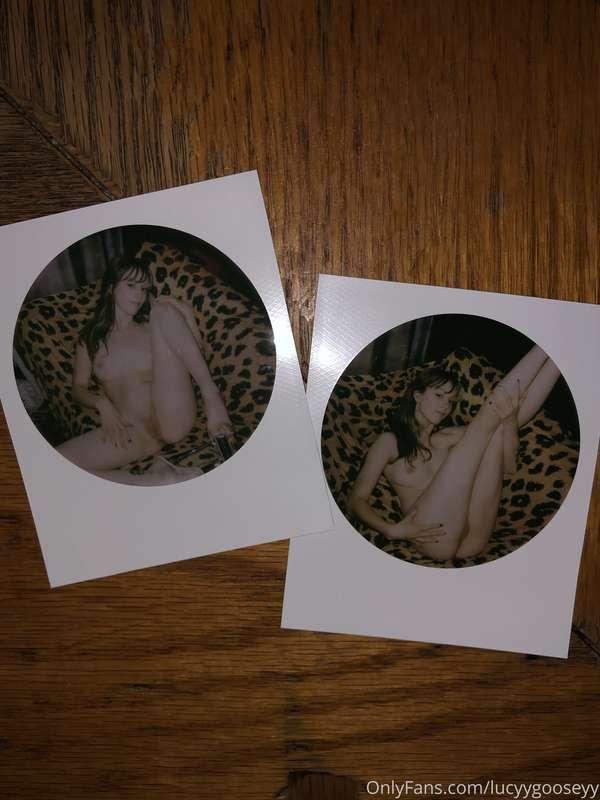 🐆