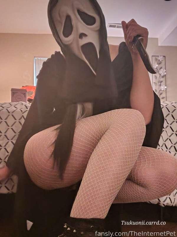 theinternetpet image #1