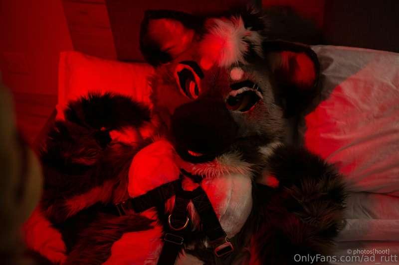 ad_rutt image #9