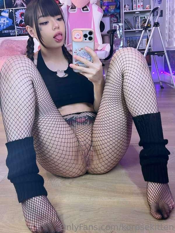 korpsekitten image #5