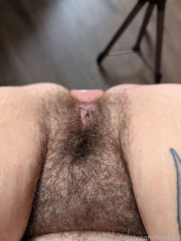 tinytoni image #10