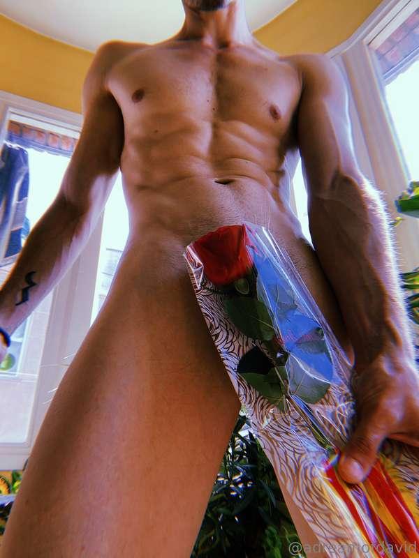 Feliç Sant Jordi! 🌹   St George Day is lover's day in Catalo..