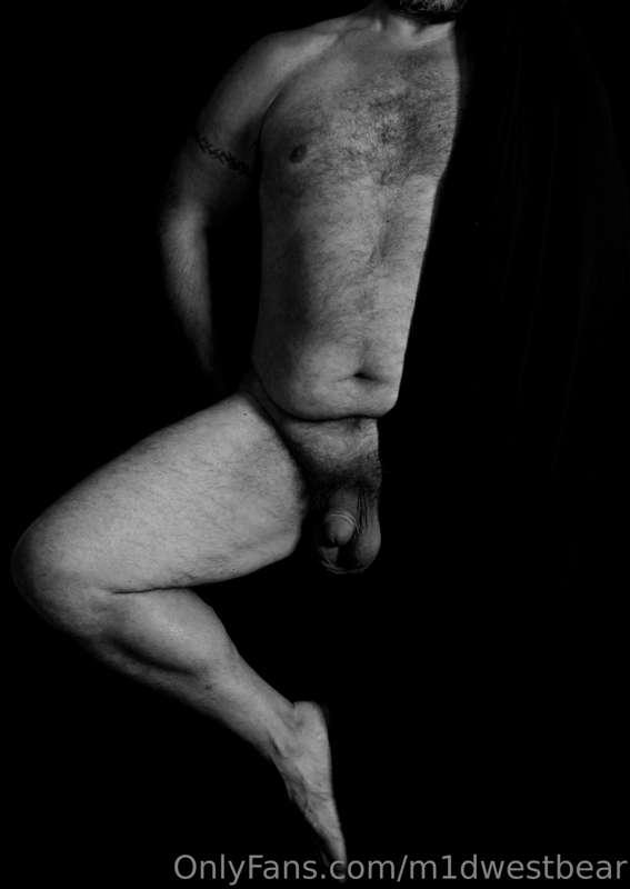 m1dwestbear image #10