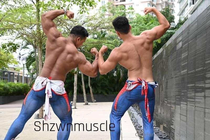 shzwanmuscle image #0