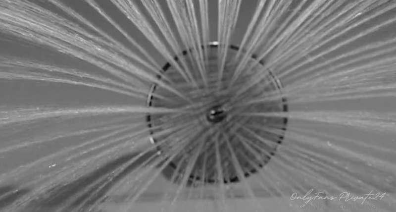 private24 image #1