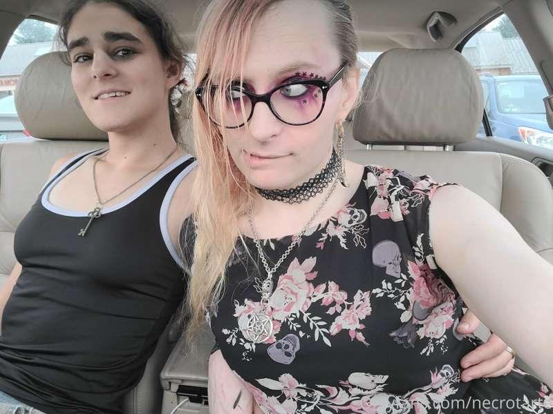 latrodectushex image #0