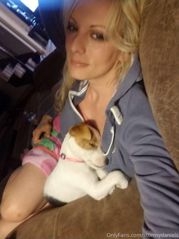 Sleepy puppy