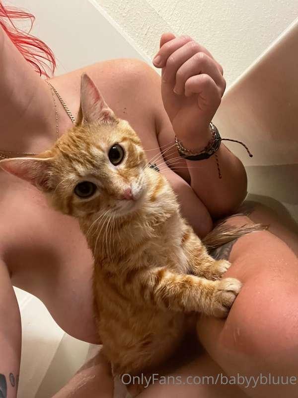 Umm ok my kitten is ok with baths wtf???🥺💙