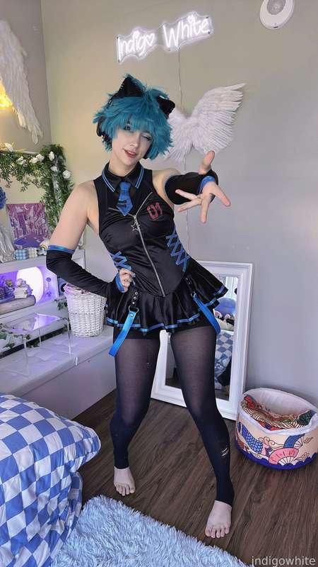indigowhite image #36