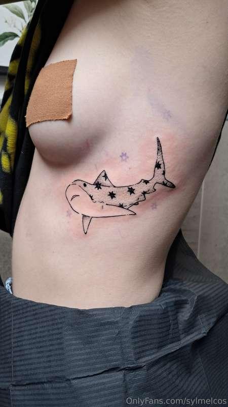 sylmelcos main image