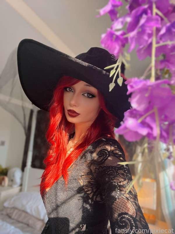pixiecat image #3