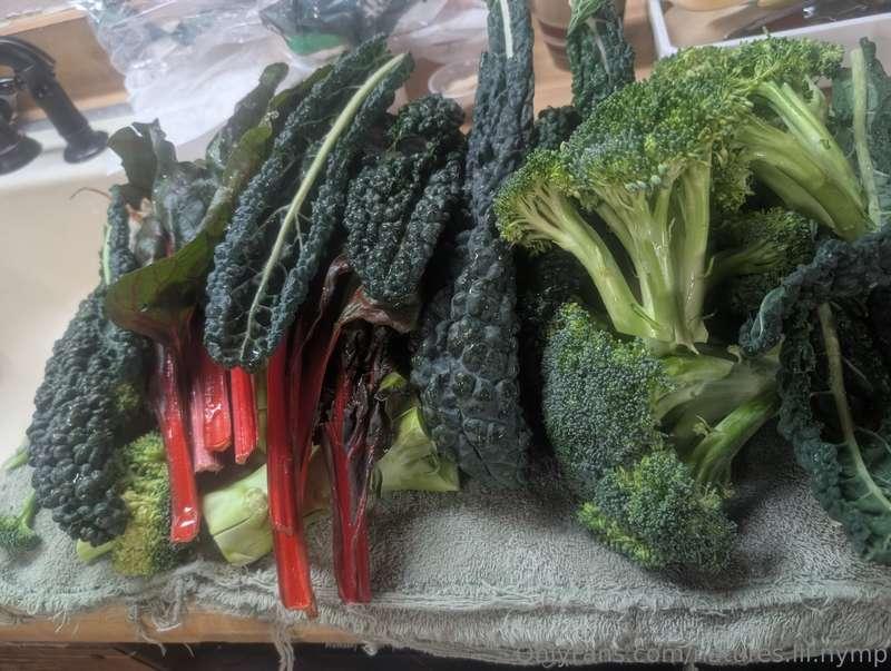 Another meal prep.Look at all the colors! Food is medicine. ..