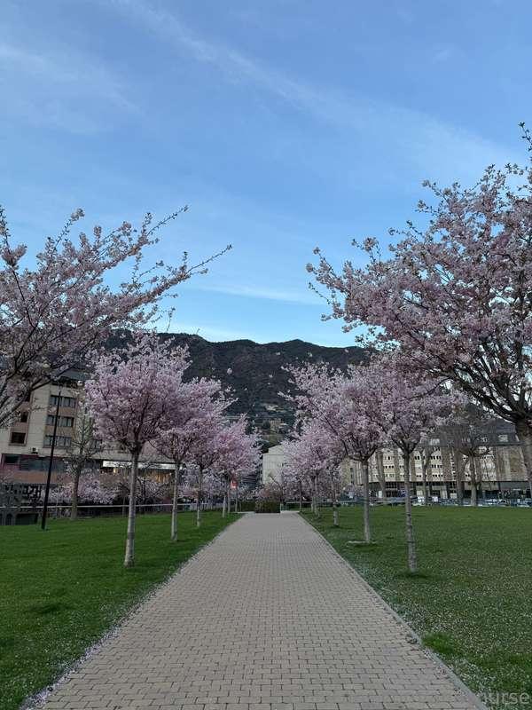 "the most important thing is to enjoy your life—to be happy—..