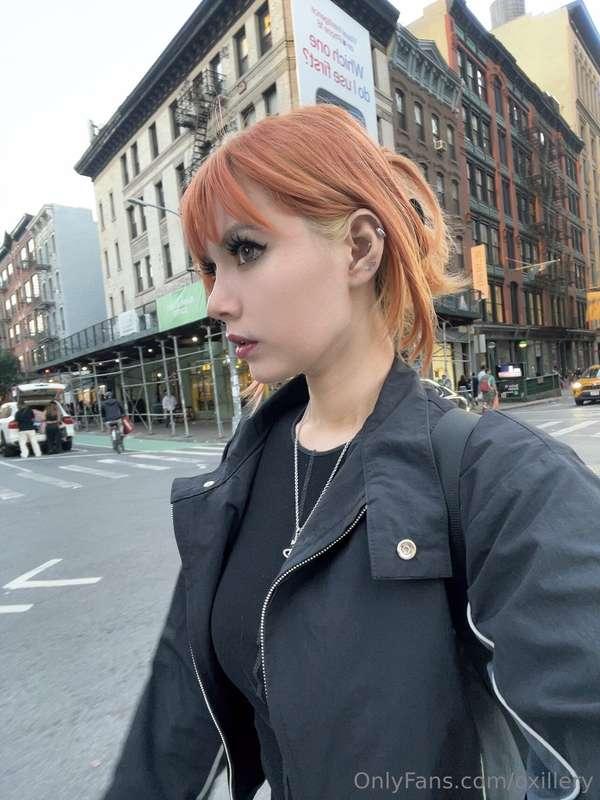 Meow last day in New York 