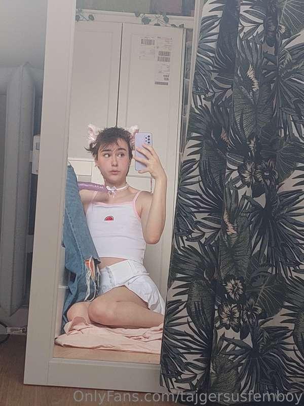 tajgersusfemboy image #0