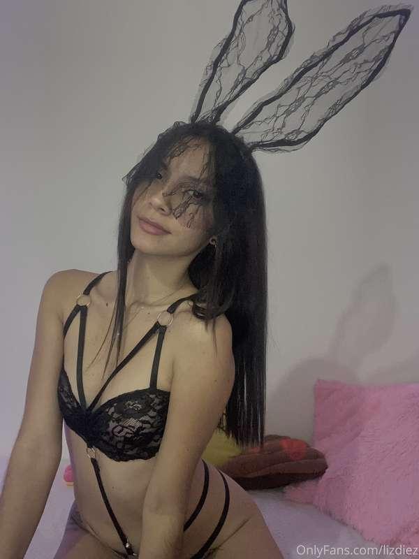 Bunny ❤️