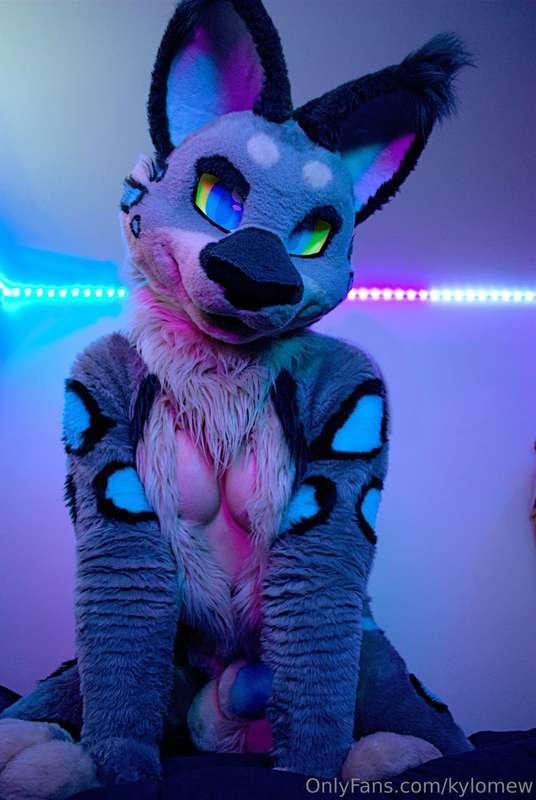 oh what's the mater? go ahead, feel me up, I NEED it~