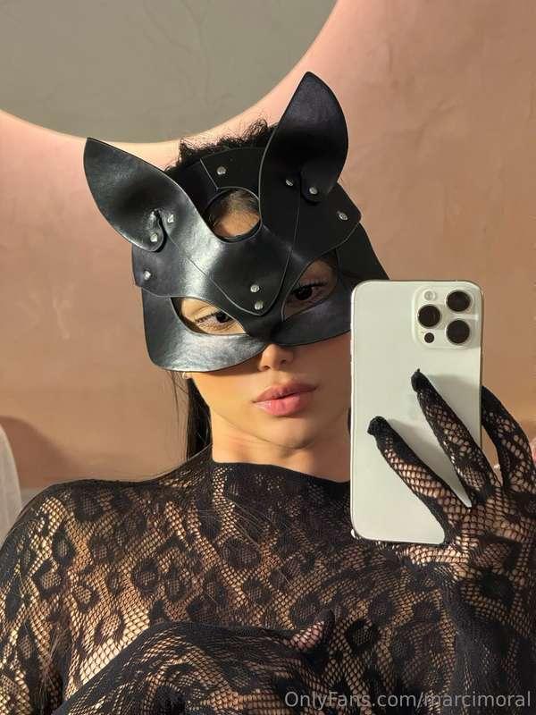 meow 😻