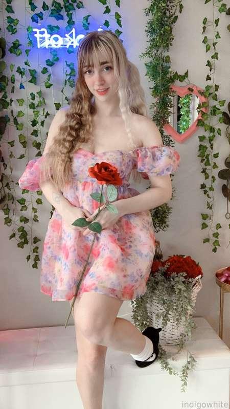 indigowhite image #25