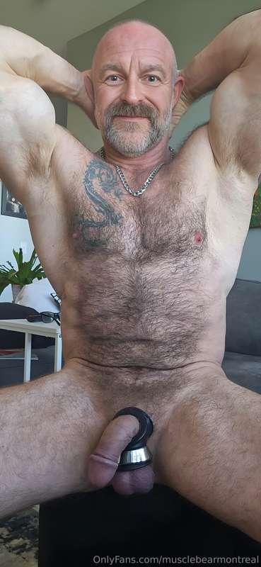 musclebearmontreal image #0