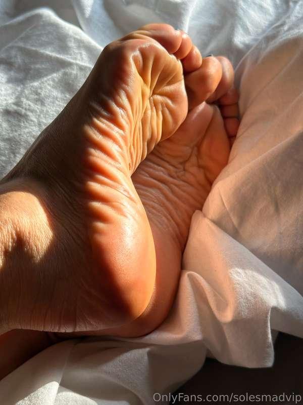 Rate my wrinkles soles 1-10 aren’t they cute ? 