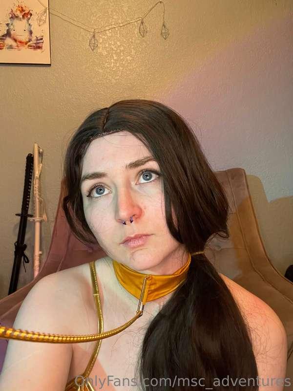 msc_adventures image #0