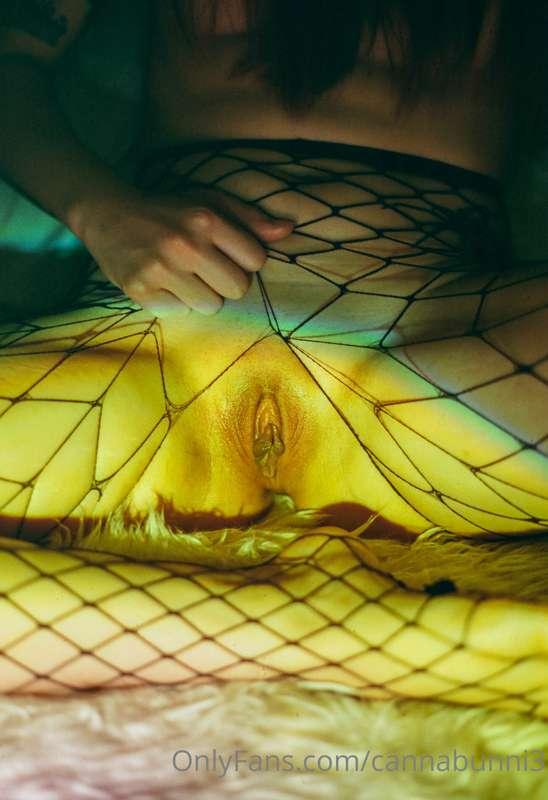 cannabunni3 image #0