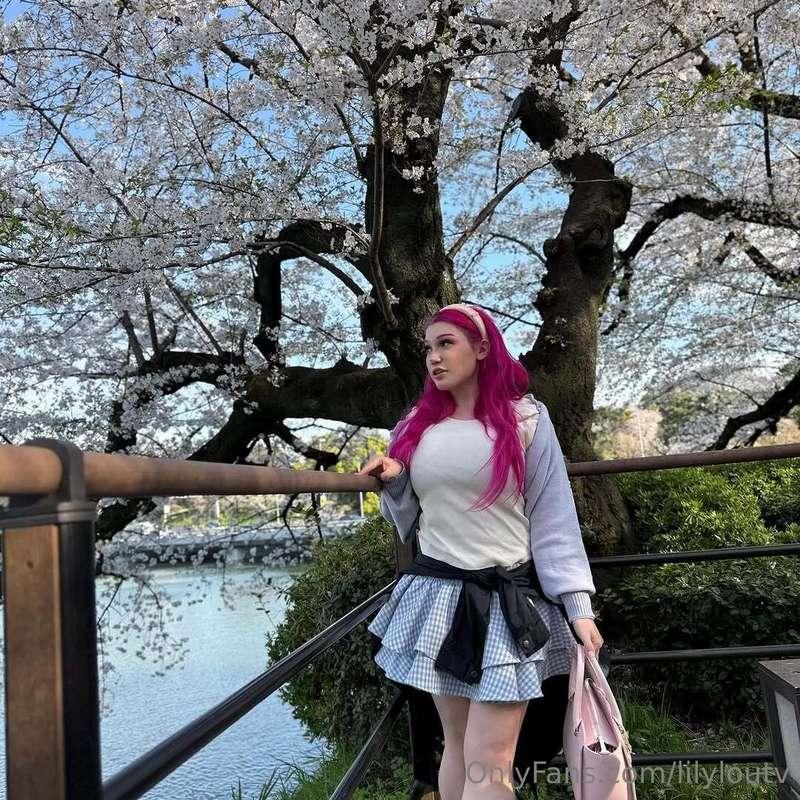You really have to see cherry blossoms in person 🌸