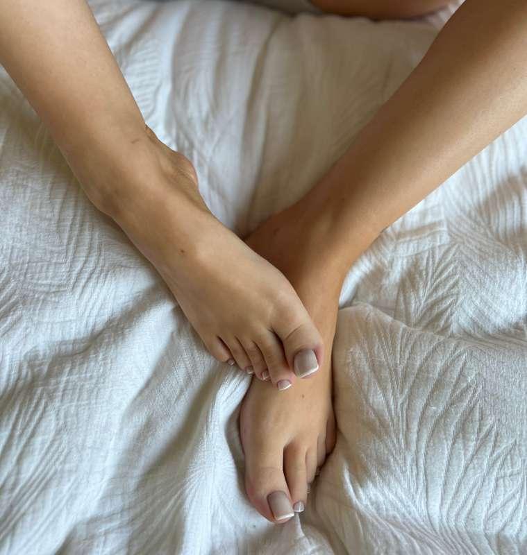 librarosebud main image